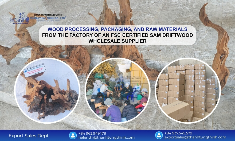 The Premier FSC Certified Sam Driftwood Wholesale Supplier for the USA