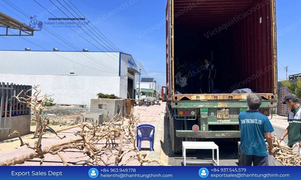 Leading Sam Driftwood ODM Supplier & Factory Direct