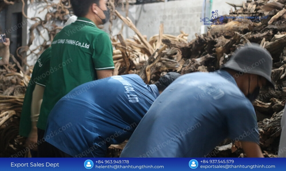 Bulk Buy Sam Driftwood – Sustainable Wholesale Supply
