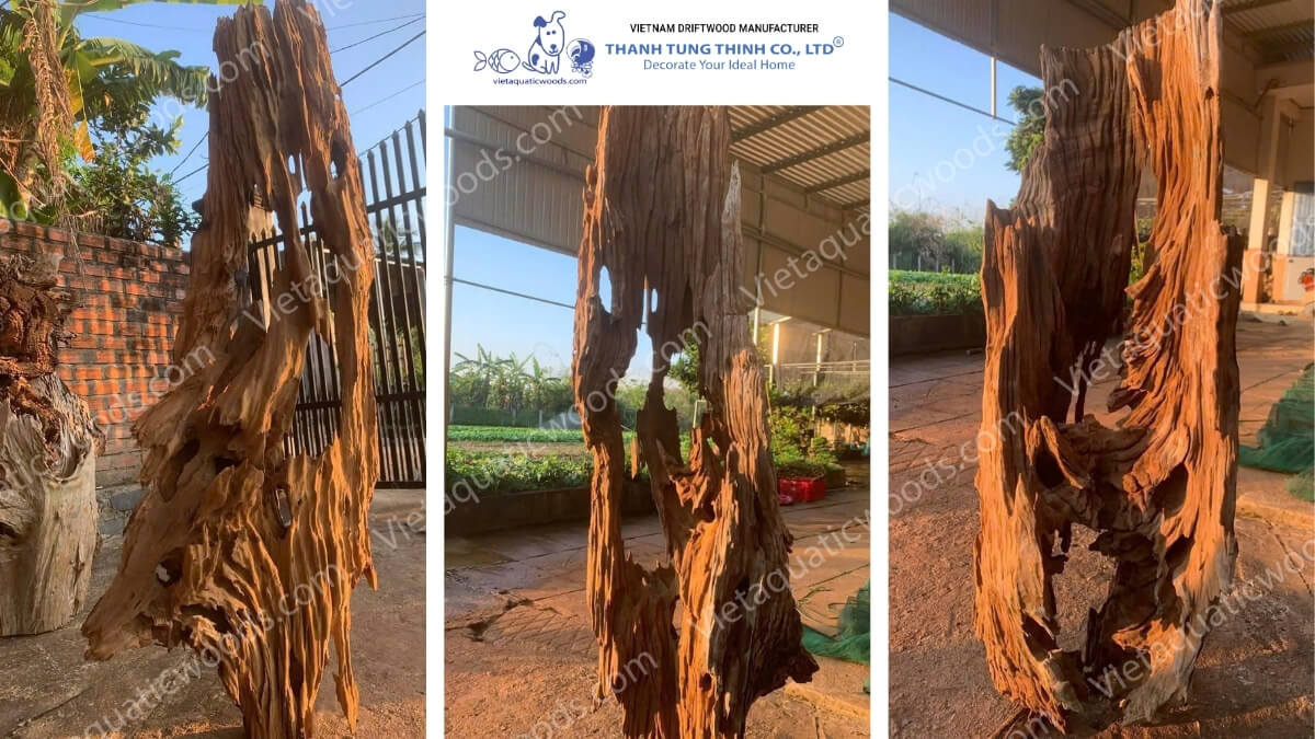 Huge Red Driftwood | 07