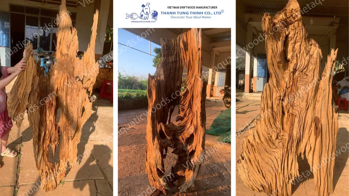 Huge Red Driftwood | 08