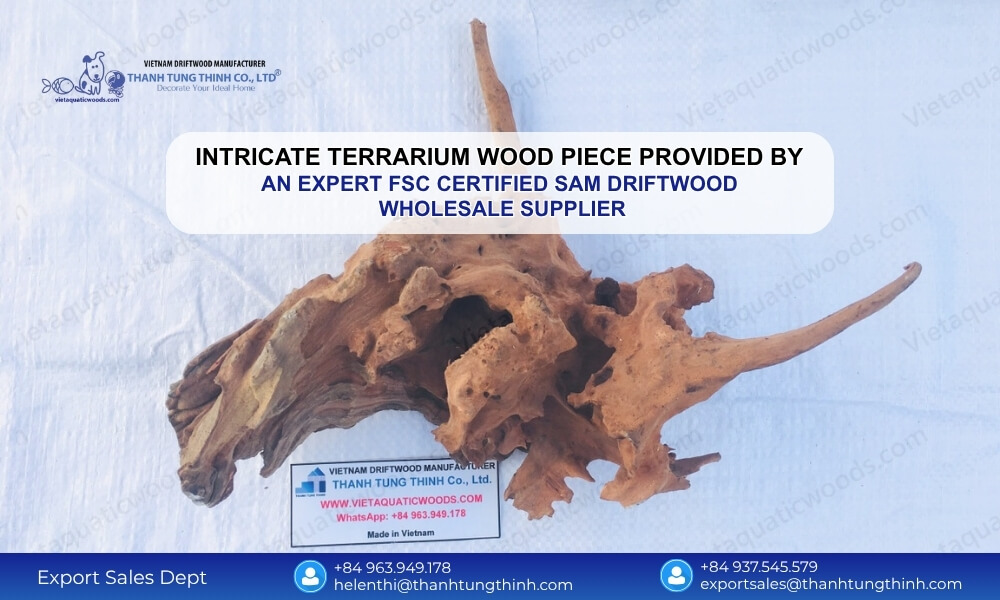 The Premier FSC Certified Sam Driftwood Wholesale Supplier for the USA