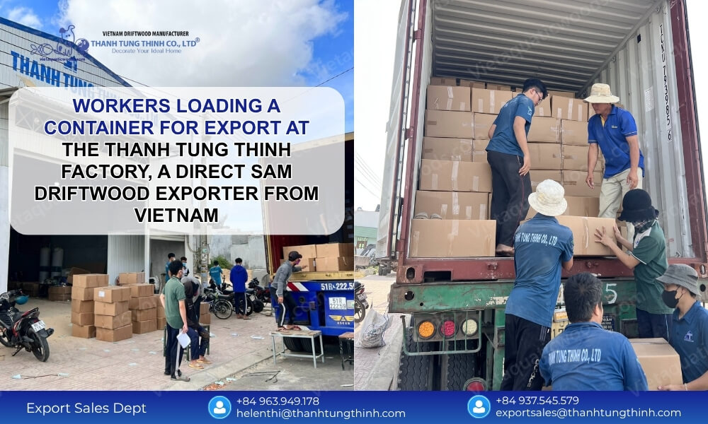 Why Your Business Needs a Factory Direct Sam Driftwood Exporter from Vietnam