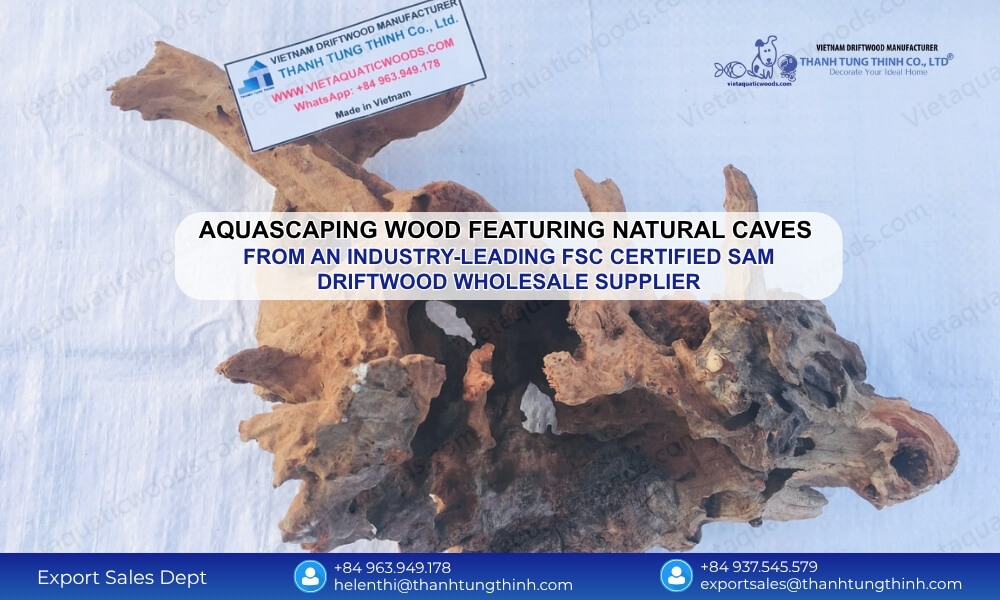The Premier FSC Certified Sam Driftwood Wholesale Supplier for the USA
