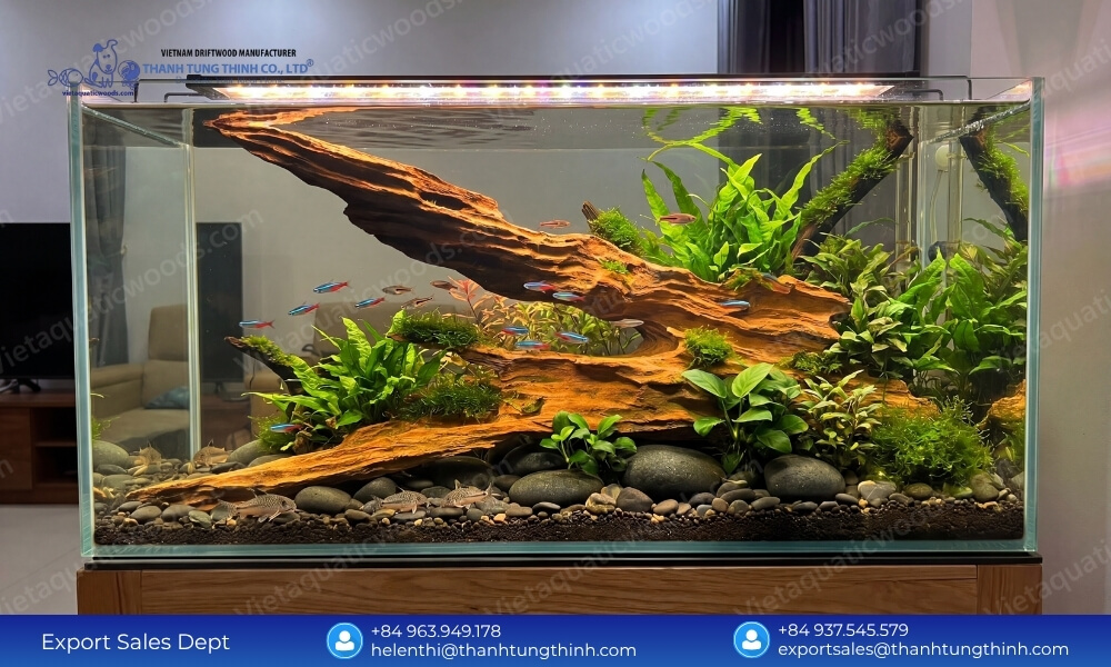 Sam Driftwood Factory Direct Supplier – Get the Best Factory Prices