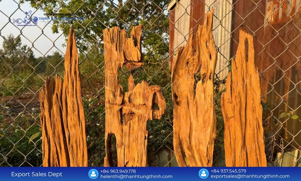 Unique Driftwood Pieces from Sam Driftwood Factory