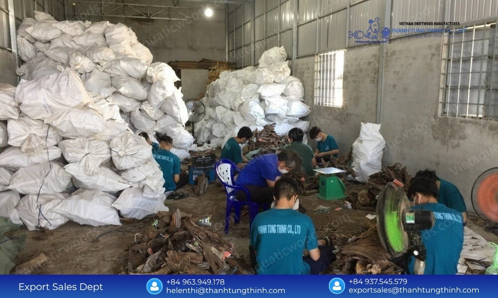 Bulk Buy Sam Driftwood – Sustainable Wholesale Supply