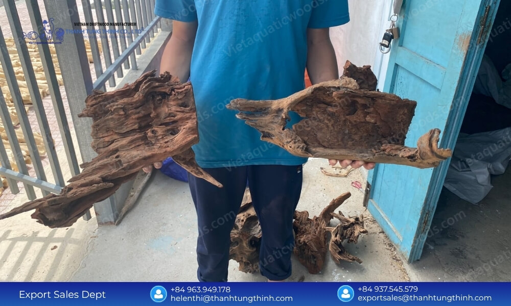 Reliable Sam Driftwood Import from Vietnam Supplier