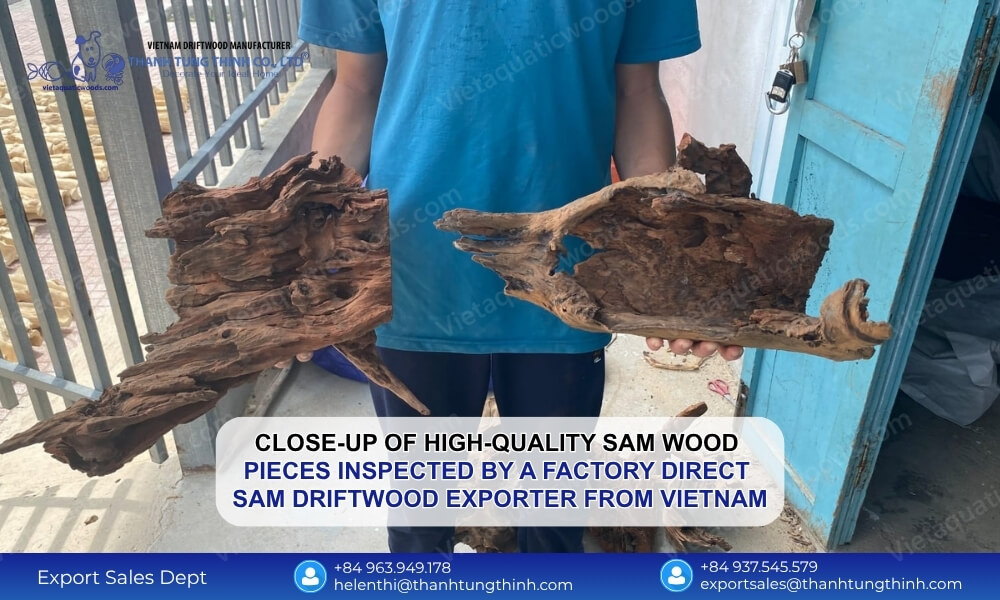 Why Your Business Needs a Factory Direct Sam Driftwood Exporter from Vietnam