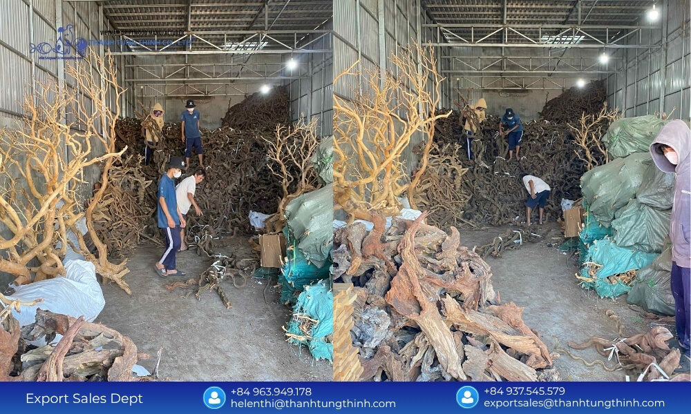 Leading Sam Driftwood ODM Supplier & Factory Direct
