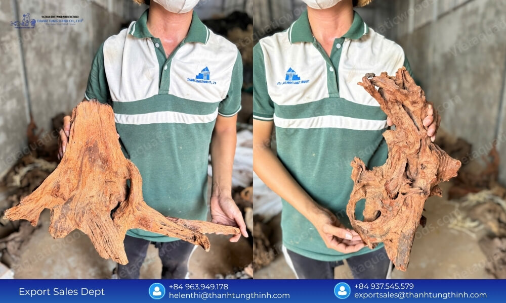 Unique Driftwood Pieces from Sam Driftwood Factory
