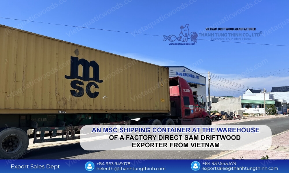 Why Your Business Needs a Factory Direct Sam Driftwood Exporter from Vietnam