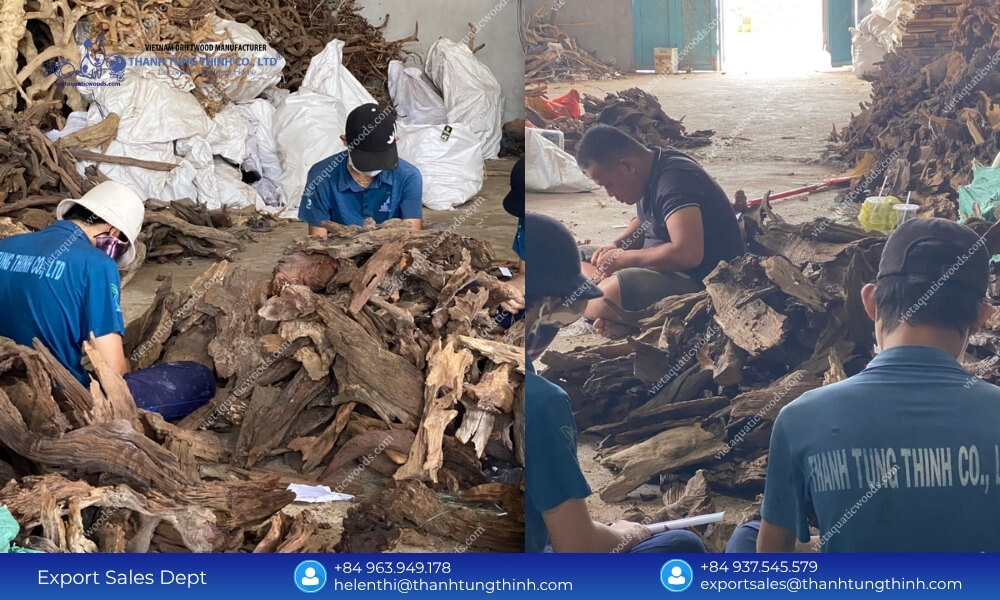 Sam Driftwood Factory Direct Supplier – Get the Best Factory Prices
