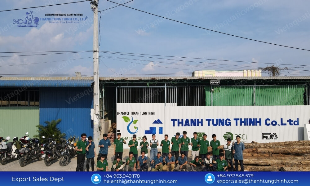 Reliable Sam Driftwood Import from Vietnam Supplier