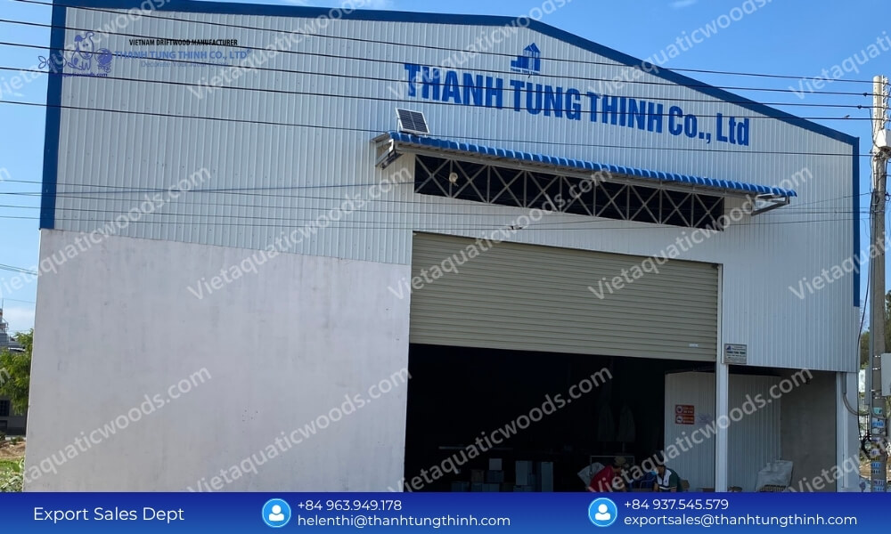 The Ultimate Reliable Sam Driftwood Manufacturer for Global Distribution