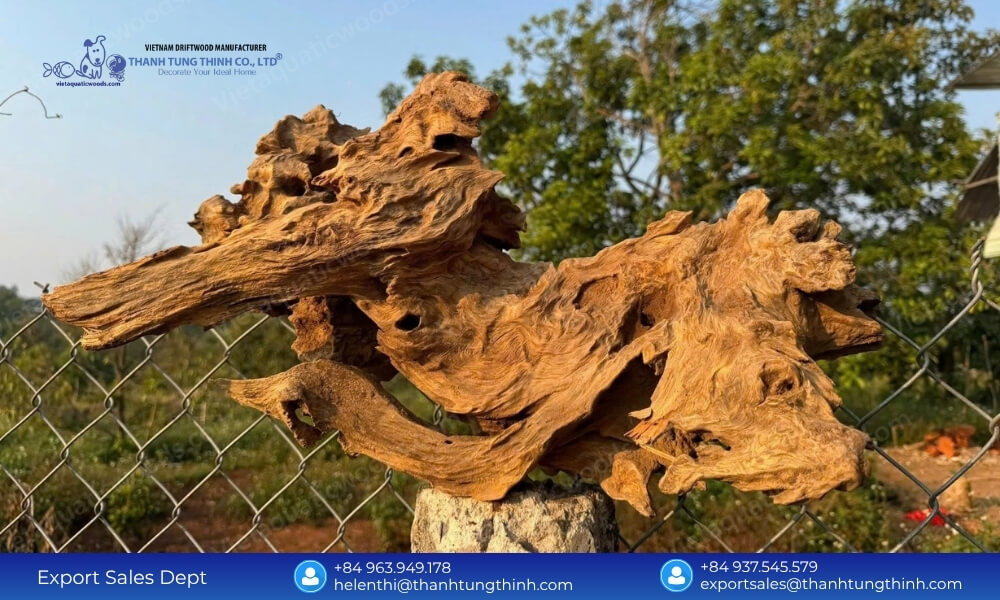 Unique Driftwood Pieces from Sam Driftwood Factory