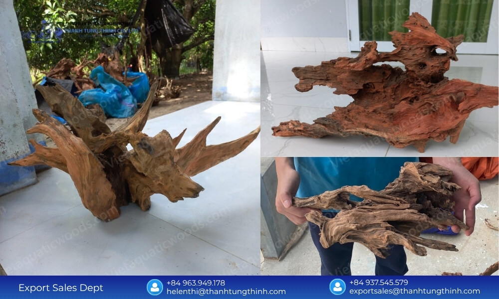 Reliable Sam Driftwood Import from Vietnam Supplier