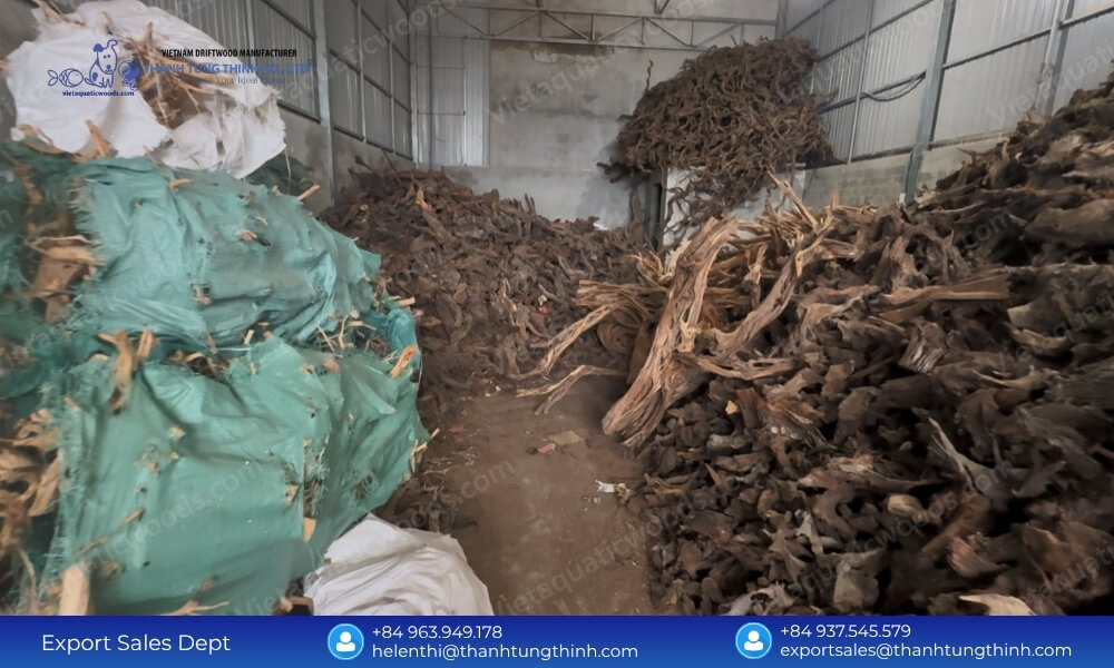 Bulk Buy Sam Driftwood – Sustainable Wholesale Supply