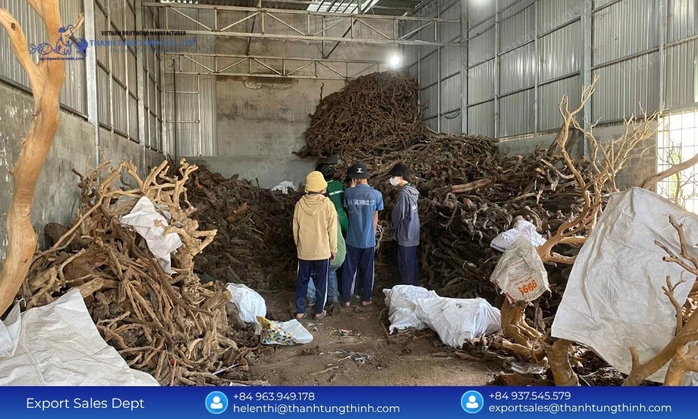Leading Sam Driftwood ODM Supplier & Factory Direct