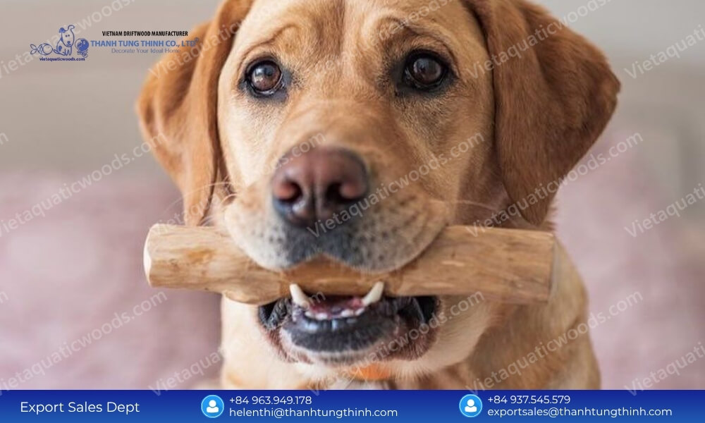 Best Coffee Wood Dog Chew Options for Heavy Chewers