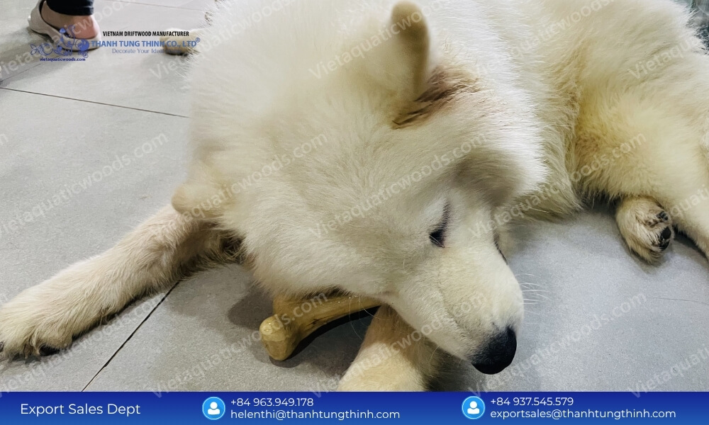 Best Coffee Wood Dog Chew Options for Heavy Chewers