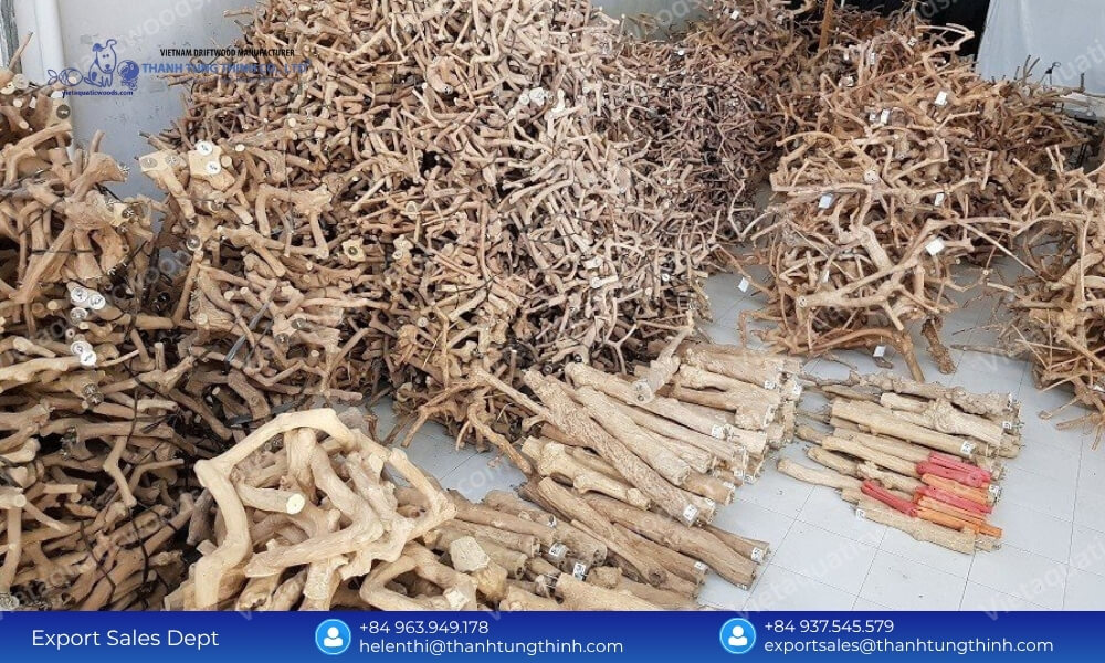 Coffee Wood Dog Chew Safe Facts | 100% Splinter-Free