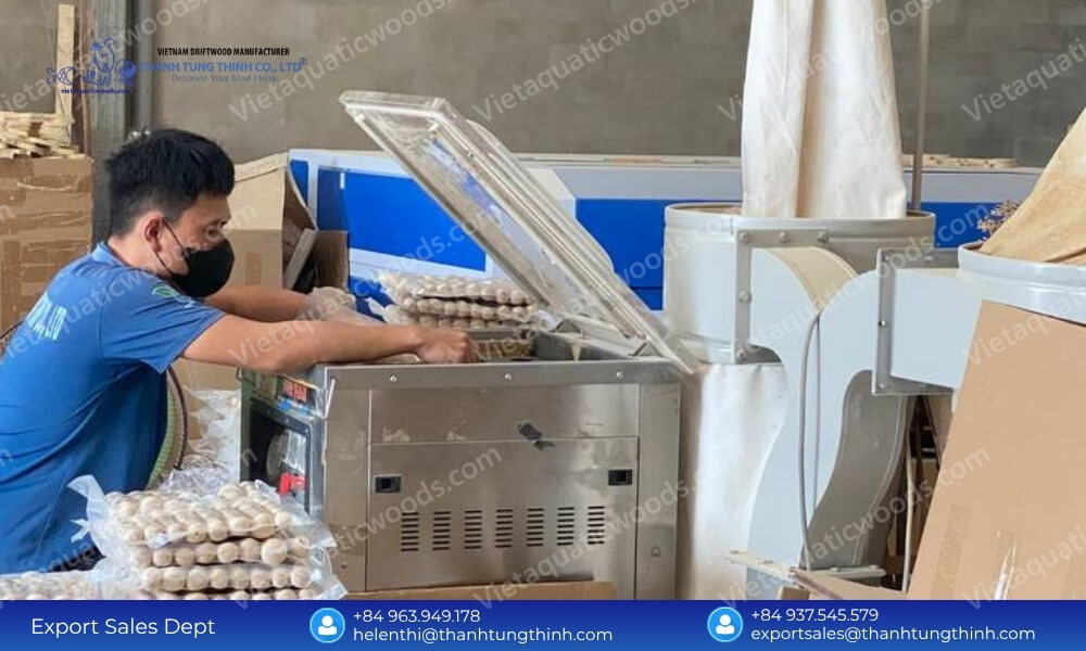 Coffee Wood Dog Chew Where to Buy Discover Why Thanh Tung Thinh Is the Trusted Source