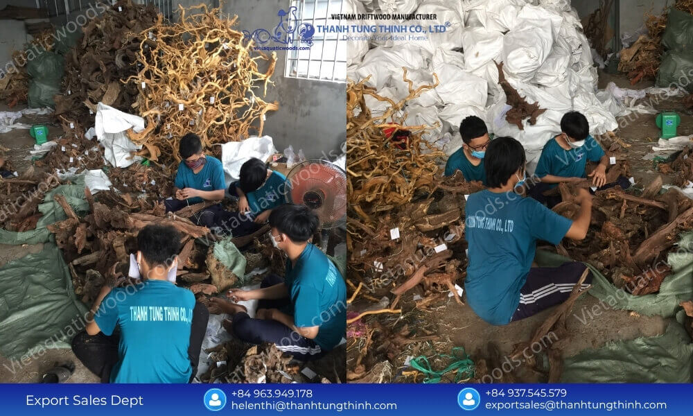 Custom Size Sanda Driftwood Bulk Supplier with OEM Packaging Solutions