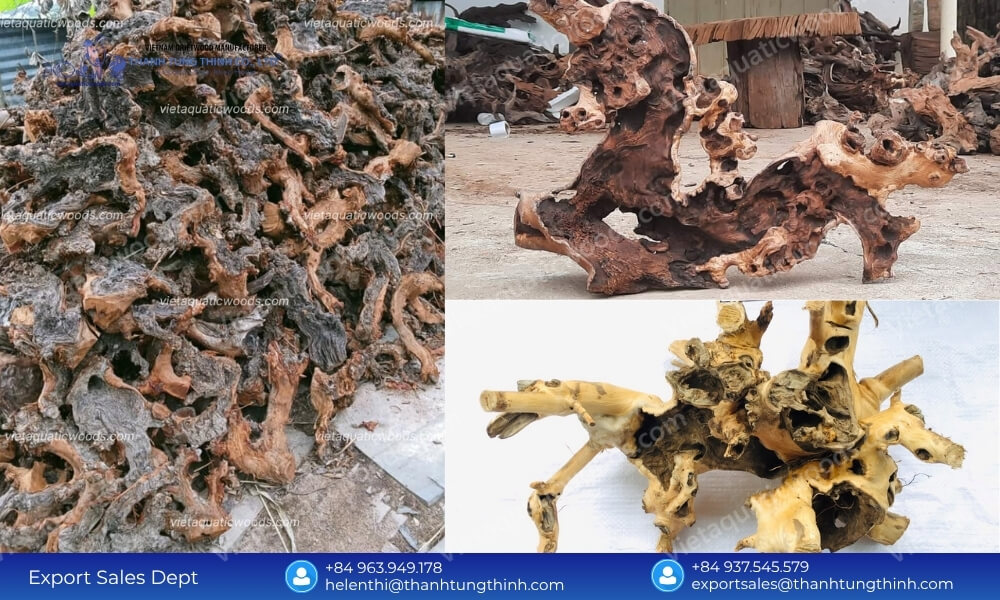 Export Quality Sanda Driftwood Kiln-Dried Phytosanitary Lots