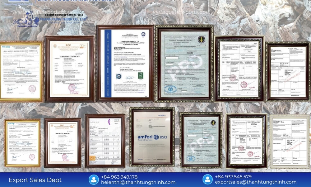 FSC Certified Sanda Driftwood Wholesale Supplier Network: The Legal Pass for Global Brands