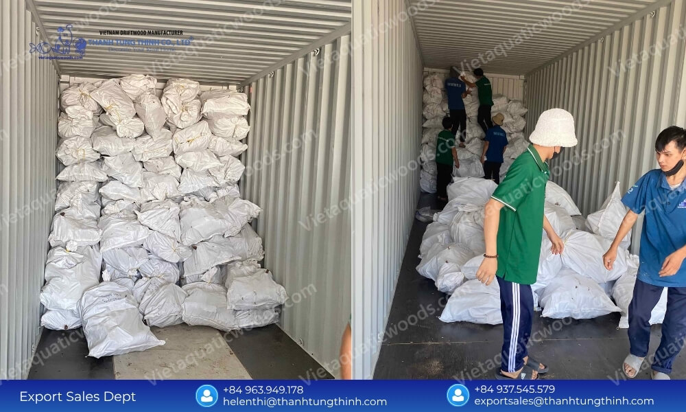 Factory Direct Sanda Driftwood Exporter from Vietnam for International Importers