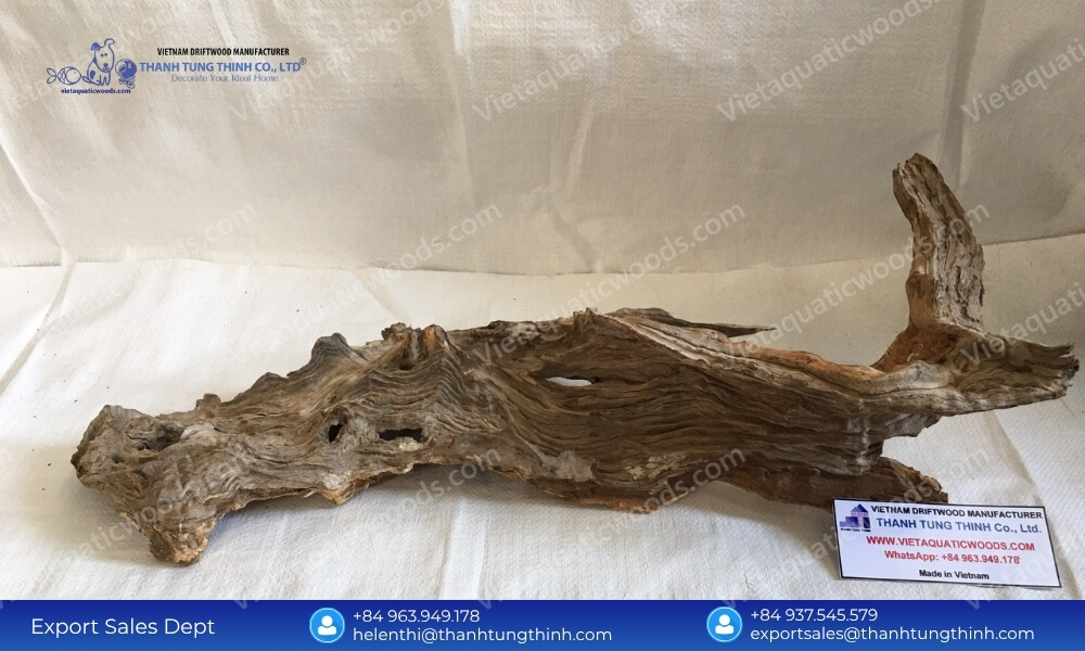 Factory Direct Sanda Driftwood Exporter from Vietnam for International Importers