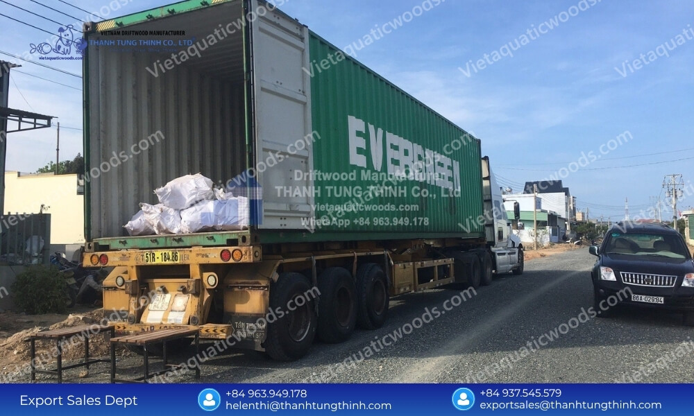 Global Sanda Driftwood Exporter: Safe Palletized Worldwide Delivery