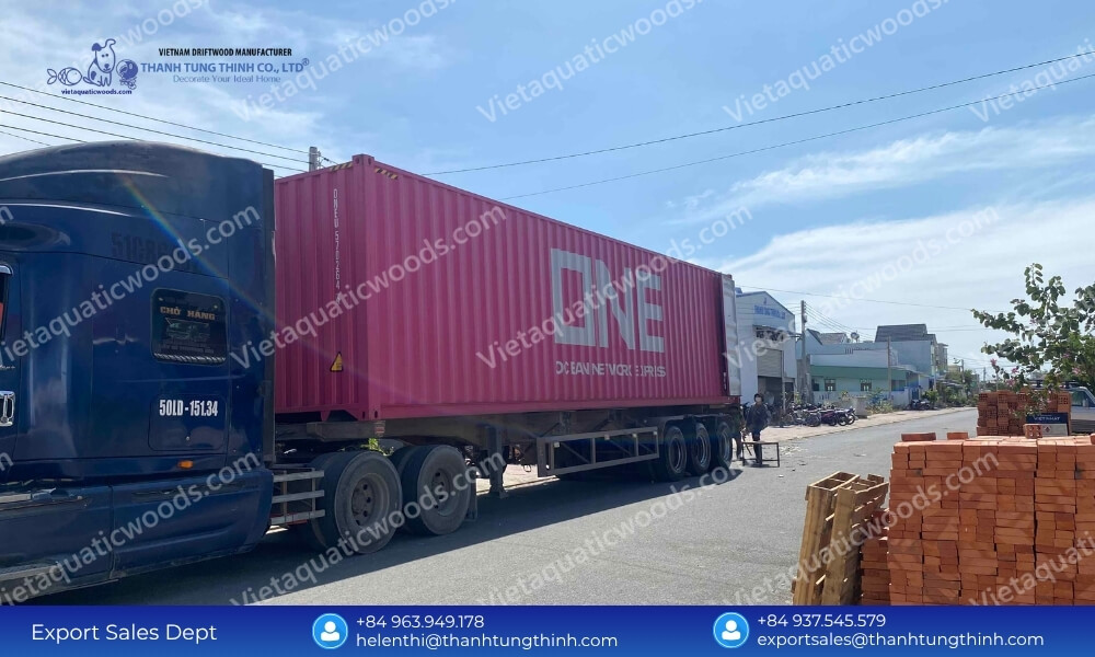 Global Sanda Driftwood Exporter: Safe Palletized Worldwide Delivery