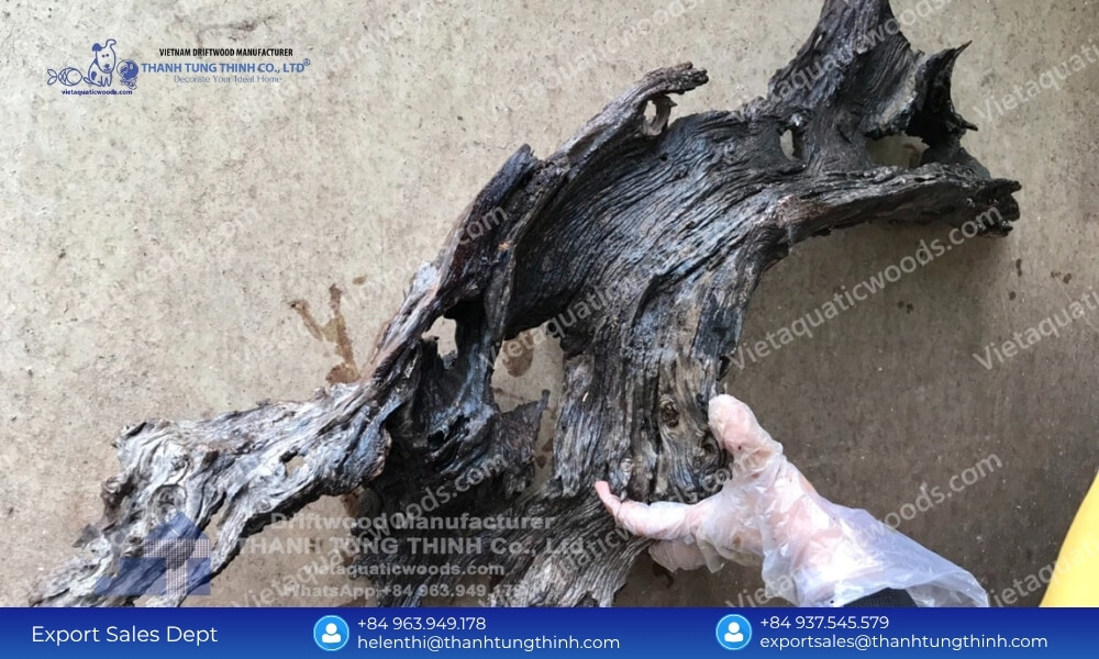 Global Sanda Driftwood Exporter: Safe Palletized Worldwide Delivery