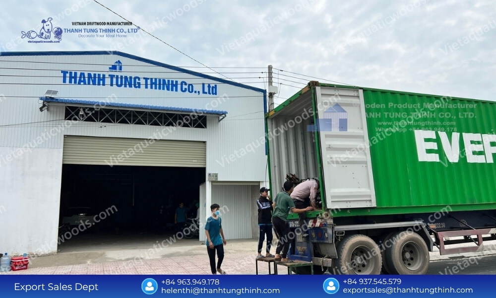 Global Sanda Driftwood Exporter: Safe Palletized Worldwide Delivery