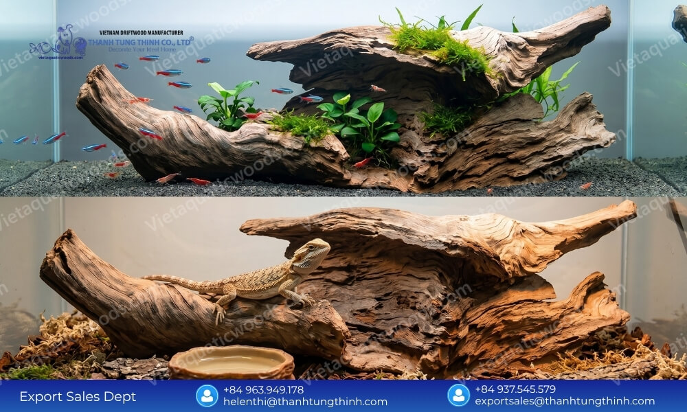 Leading Sanda Driftwood Wholesale Supplier for Pet and Aquarium Industry Worldwide