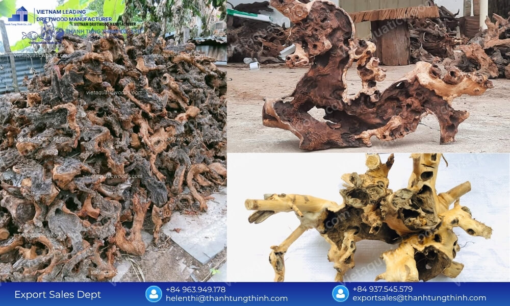 Leading Sanda Driftwood Wholesale Supplier for Pet and Aquarium Industry Worldwide