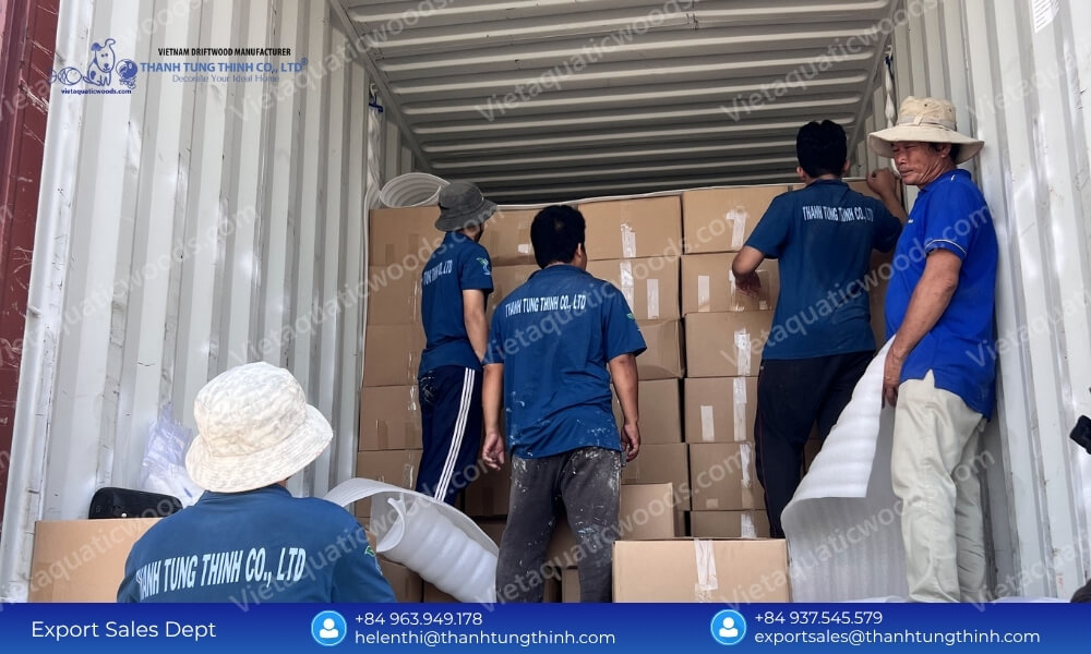 Mold-Free Export Quality Sanda Driftwood Supplier for Bulk Orders
