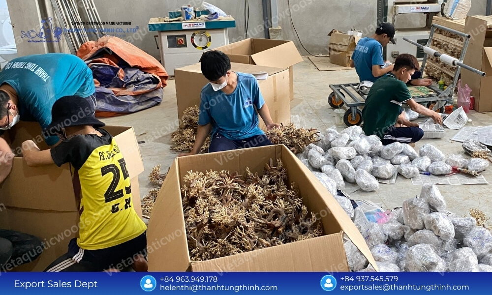 Mold-Free Export Quality Sanda Driftwood Supplier for Bulk Orders