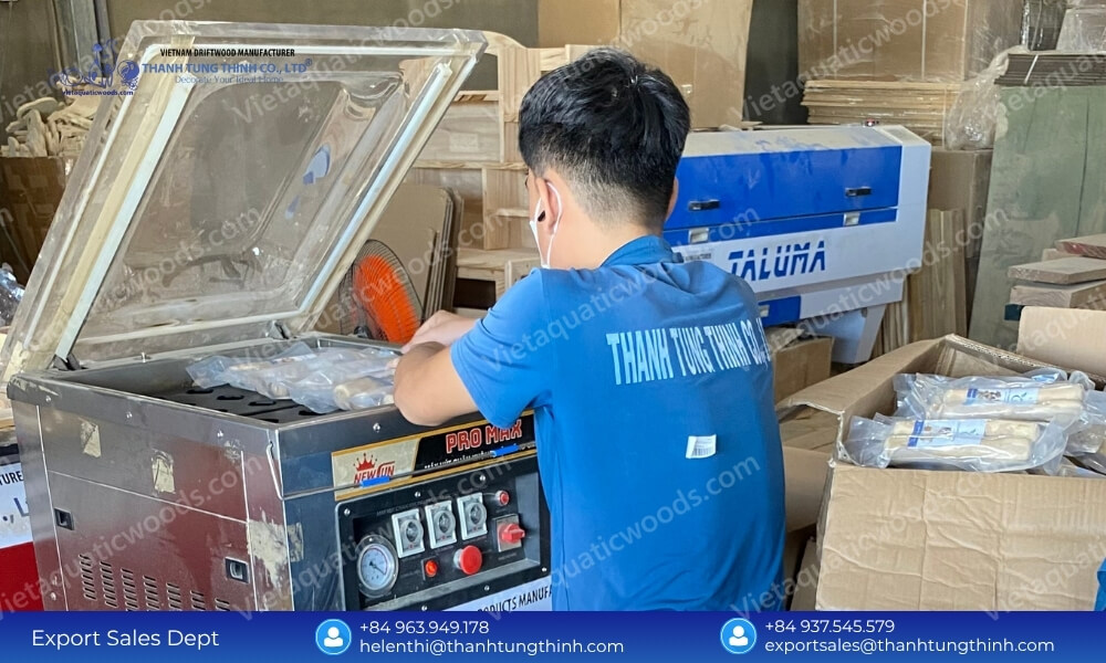 A factory specialist utilizing an industrial vacuum packaging machine for organic coffee wood chews wholesale orders