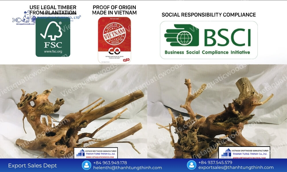 Phytosanitary Cleared: Export Quality Kimchi Driftwood