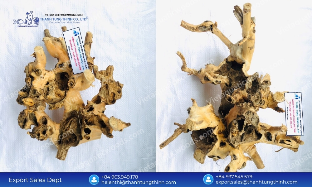 Phytosanitary Cleared: Export Quality Kimchi Driftwood