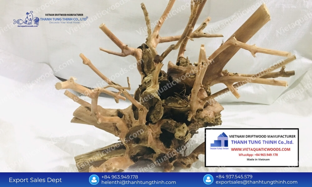 Pre-Treated Kimchi Driftwood for Aquascaping Wholesale: Safe Wood