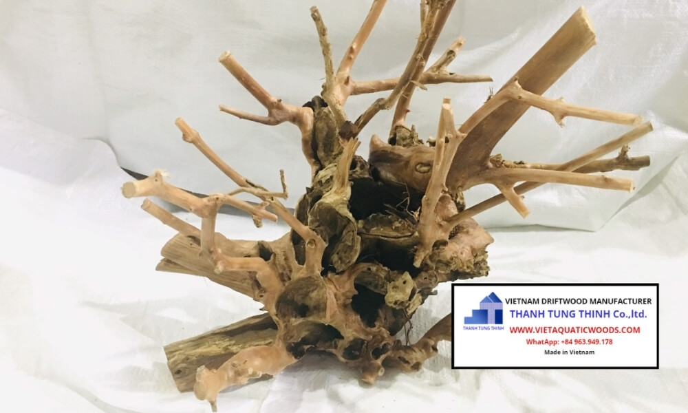 Pre-Treated Kimchi Driftwood for Aquascaping Wholesale: Safe Wood