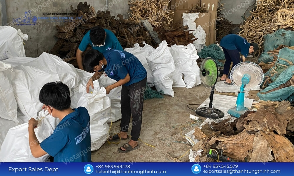 Premium Chemical Free Sanda Driftwood Supplier for Aquascaping & Elite Aquariums