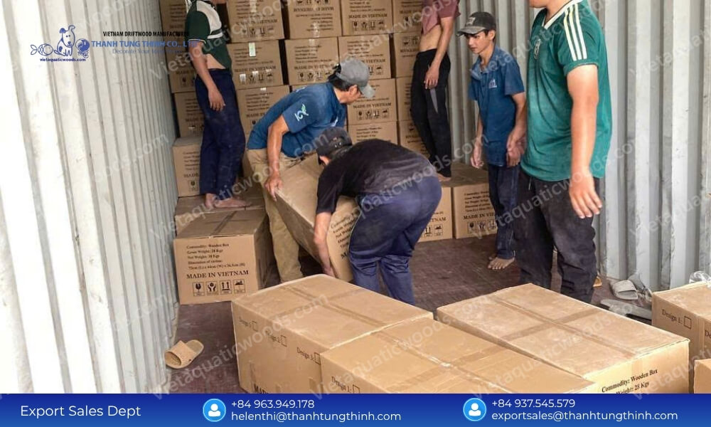Professional Private Label Sanda Driftwood Packaging Supplier Worldwide