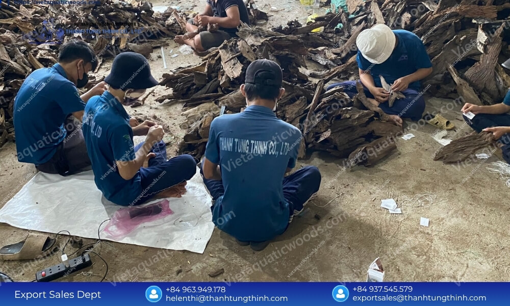 Reliable Sanda Driftwood Manufacturer with Large Production Capacity Stock