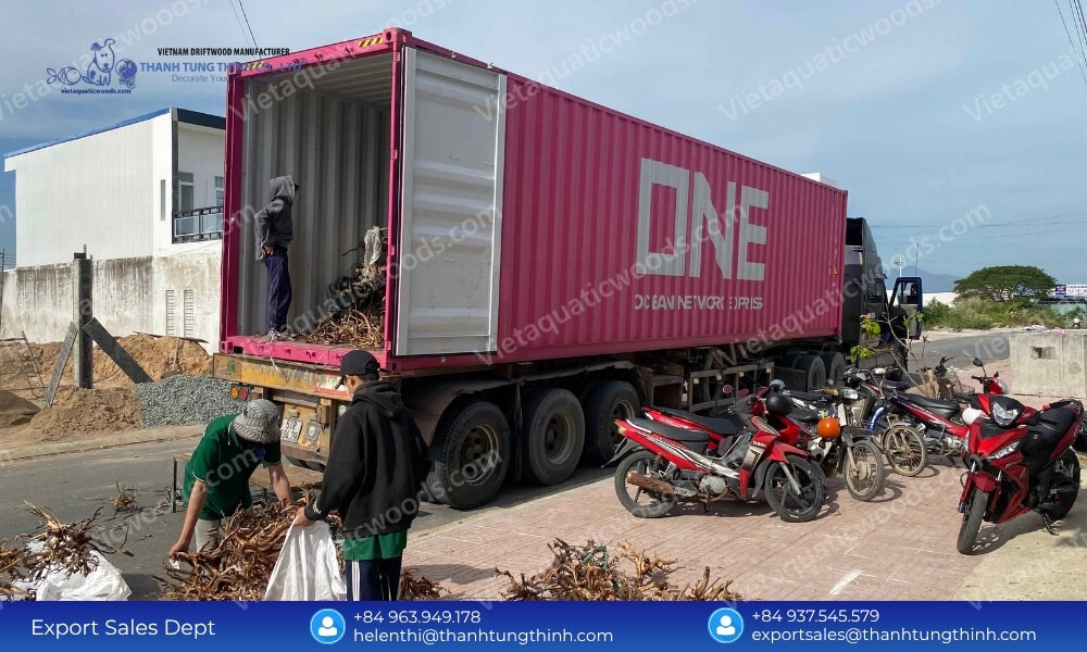 Reliable Sanda Driftwood Supplier for International Distributors with Stable Supply