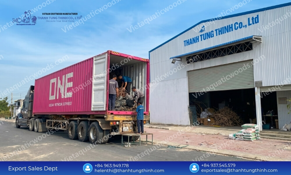 Sanda Driftwood Bulk Buy: Secure Pallet Shipping & Low Freight Rates